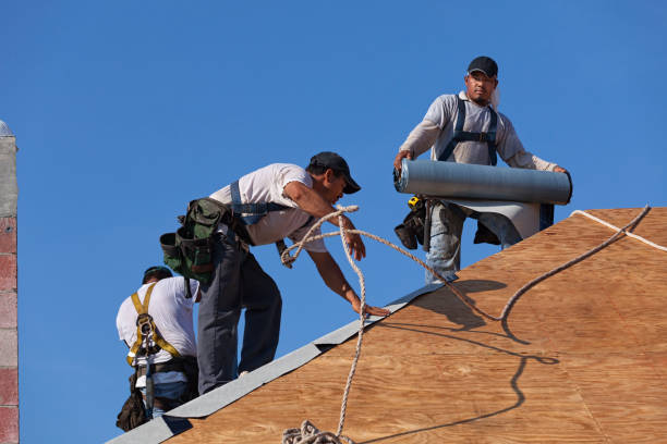 Quick and Trustworthy Emergency Roof Repair Services in Argo, AL